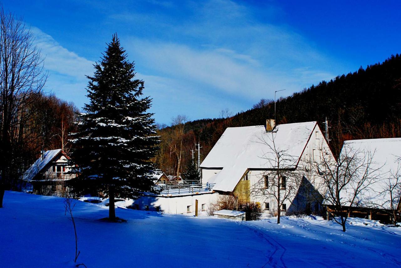 Biotanika Villa Michalkowa Exteriör bild