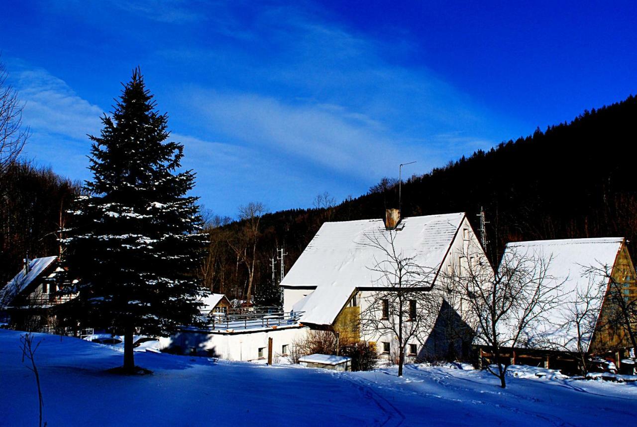 Biotanika Villa Michalkowa Exteriör bild